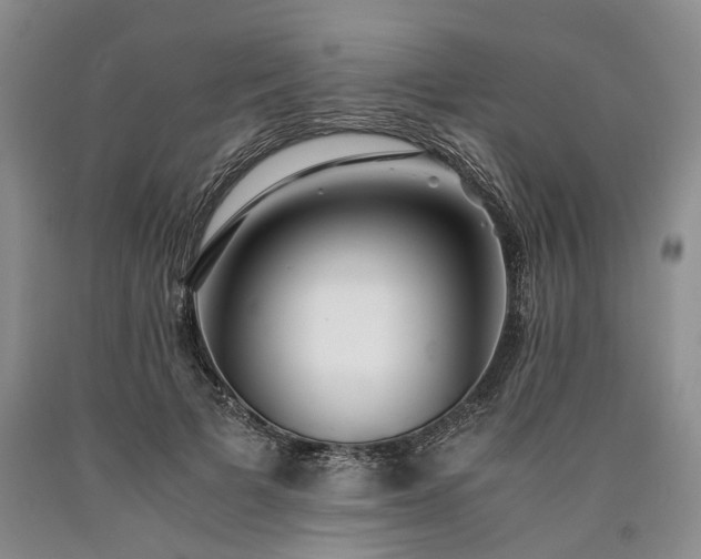 X0000090450697200707201314