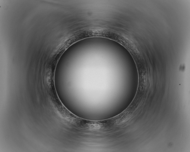 X0000090450698200707201314