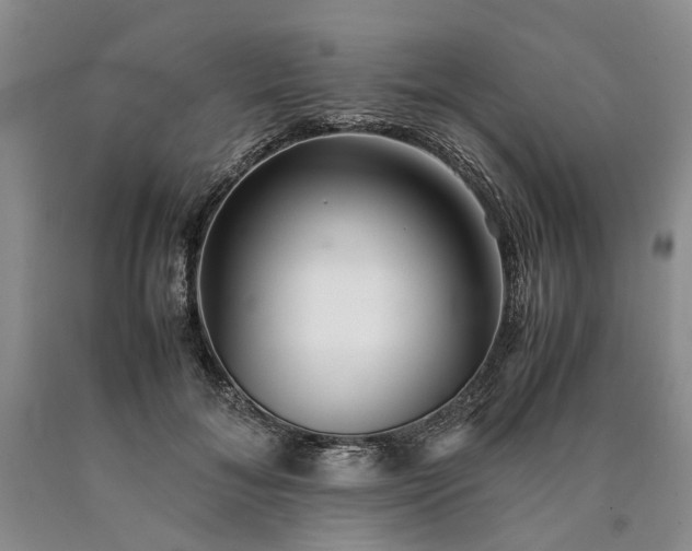 X0000090450700200707201314