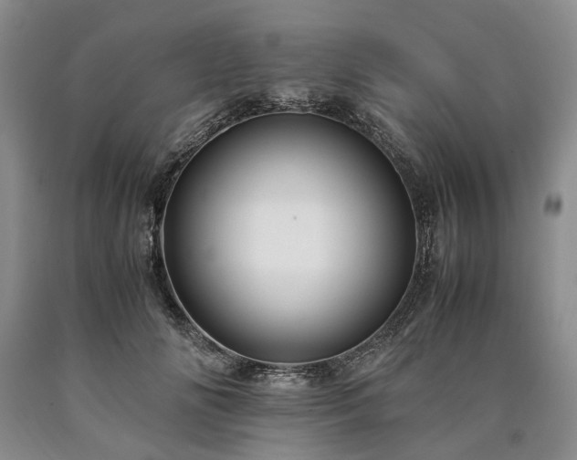 X0000090450702200707201314