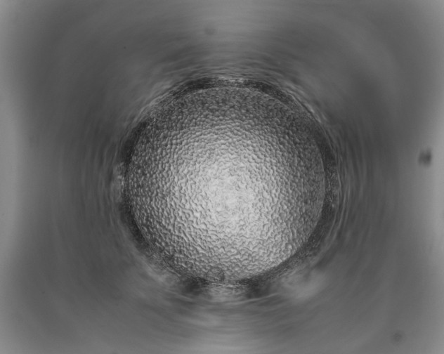 X0000090450707200707201314