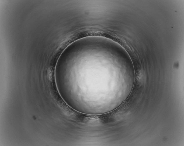 X0000090450715200707201314