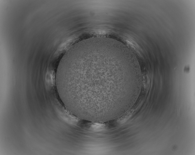 X0000090450718200707201314
