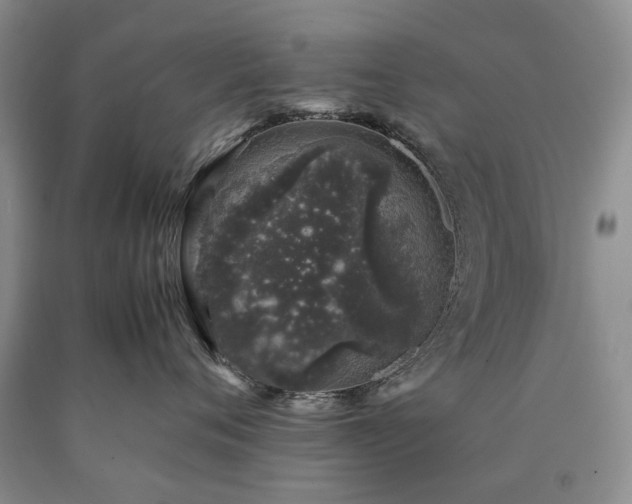 X0000090450720200707201314