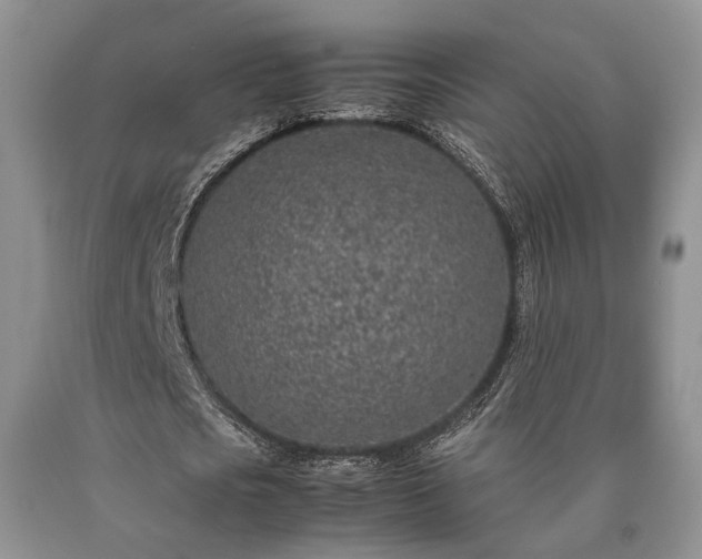 X0000090450721200707201313