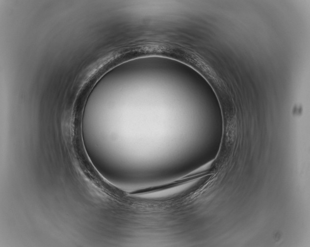 X0000090450722200707201313