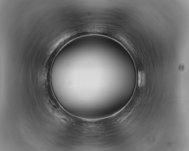 X0000090450723200707201313