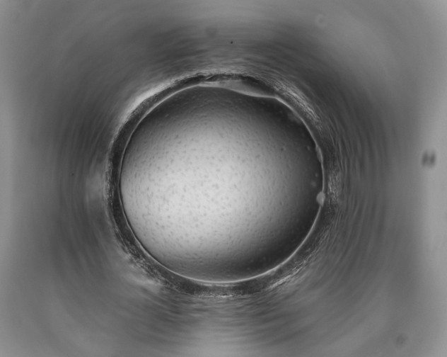 X0000090450724200707201313