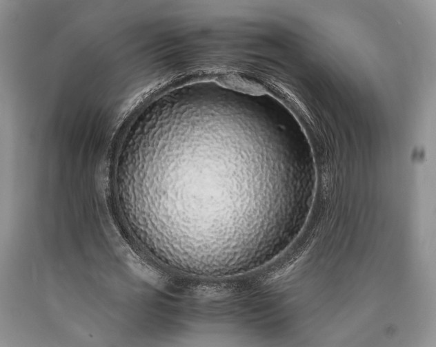 X0000090450725200707201313