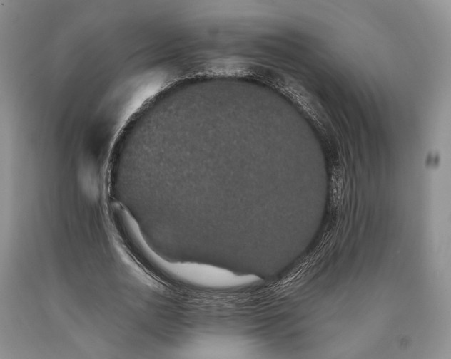 X0000090450726200707201313