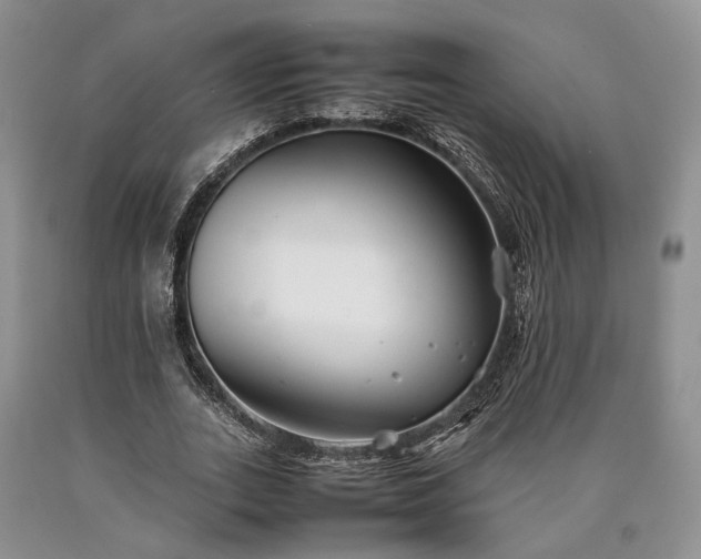 X0000090450727200707201313