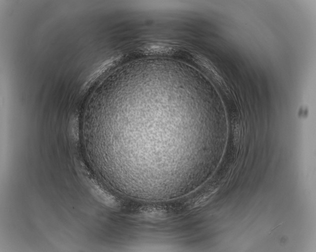 X0000090450729200707201313