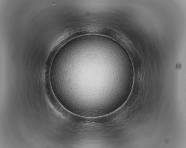X0000090450730200707201313