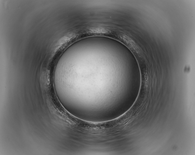 X0000090450731200707201313