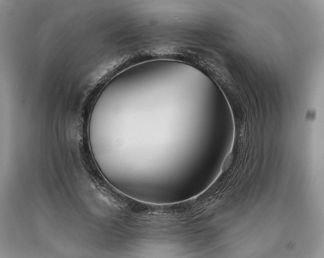 X0000090450732200707201313