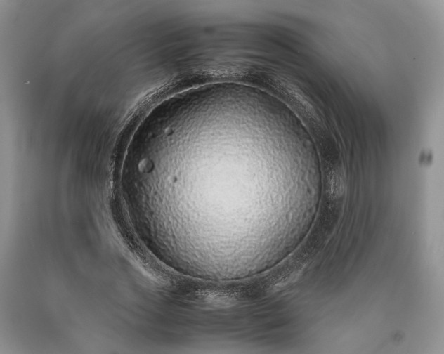 X0000090450733200707201313