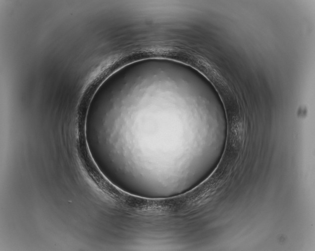 X0000090450734200707201313