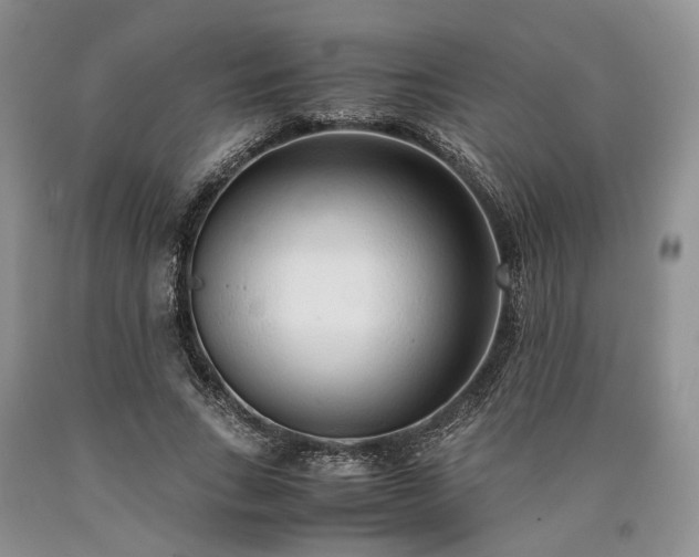 X0000090450735200707201313