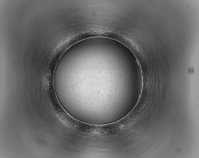 X0000090450736200707201313