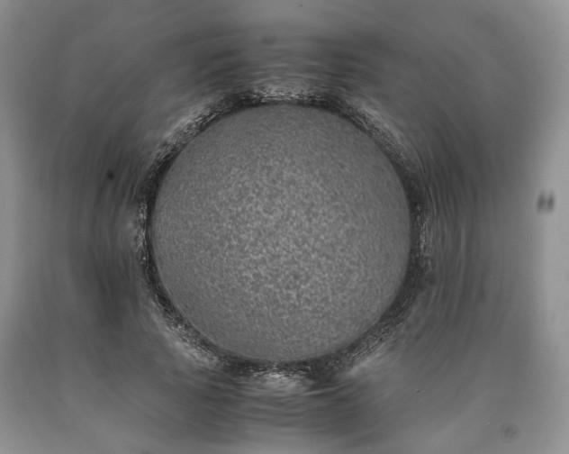X0000090450737200707201313
