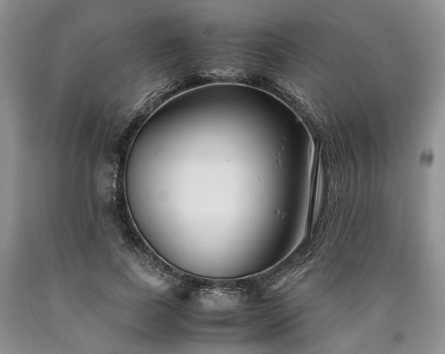 X0000090450739200707201313
