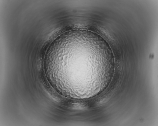 X0000090450741200707201313