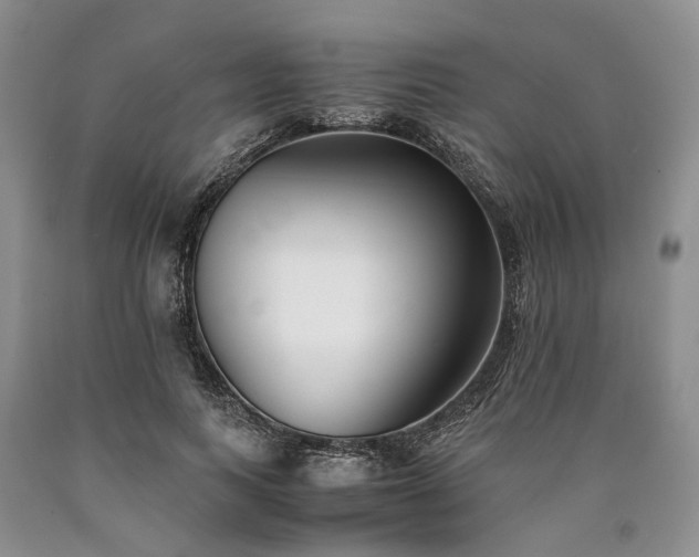 X0000090450743200707201313