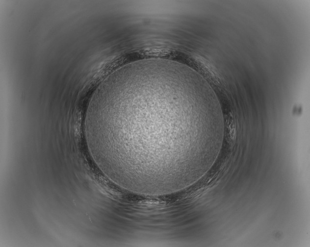 X0000090450745200707201313
