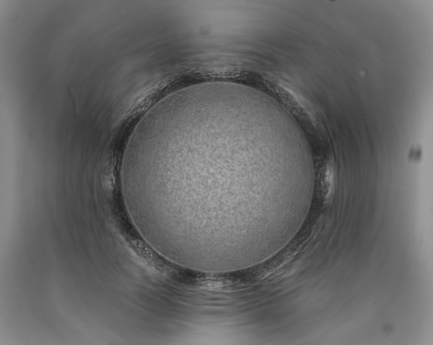X0000090450746200707201313