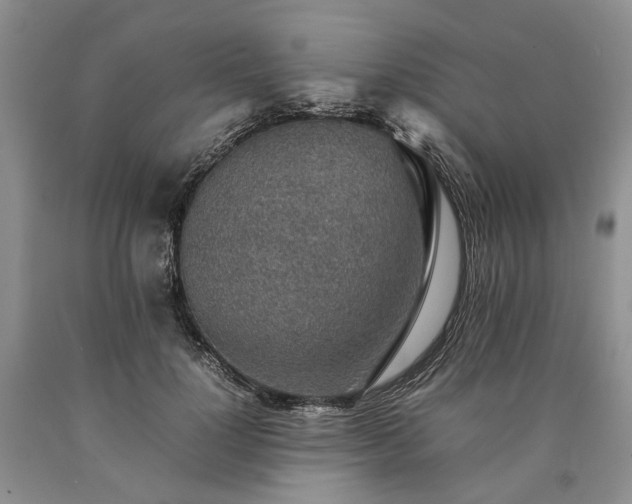 X0000090450748200707201313
