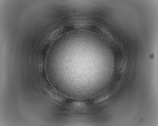 X0000090450749200707201313