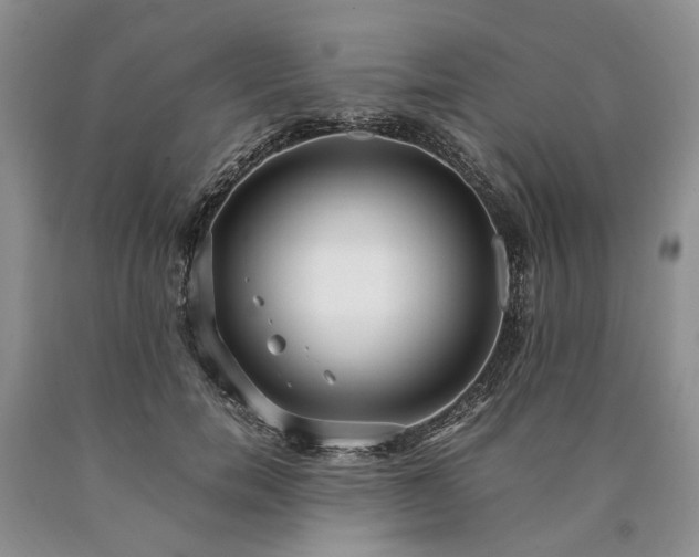 X0000090450750200707201313