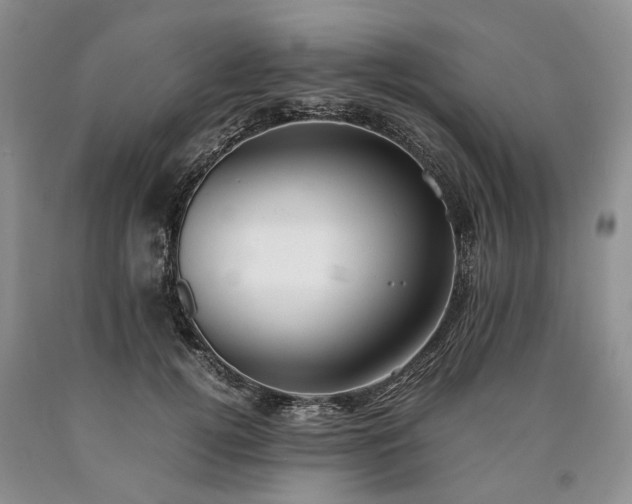 X0000090450752200707201313