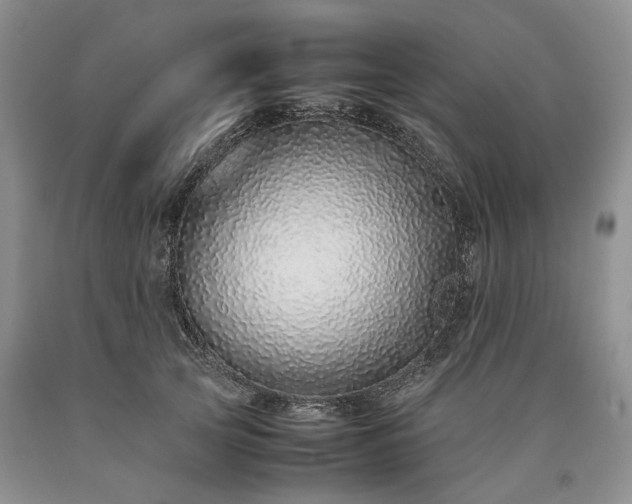 X0000090450753200707201313