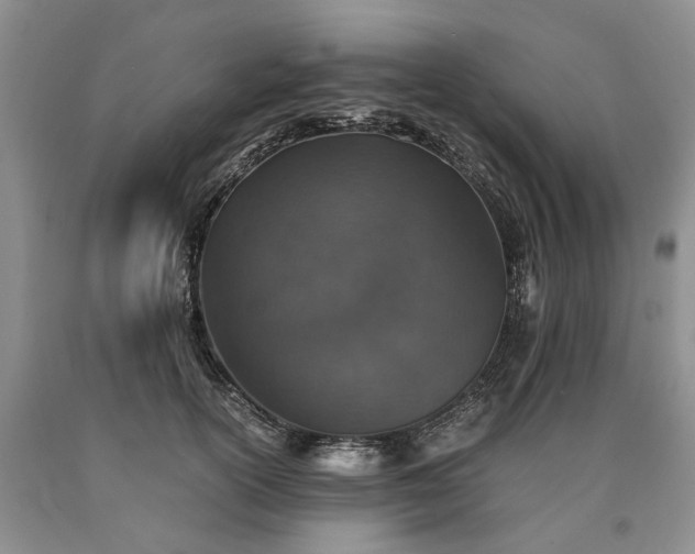 X0000090450754200707201313