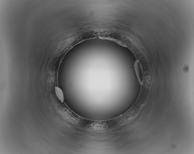 X0000090450756200707201313