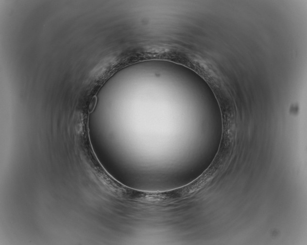 X0000090450758200707201313