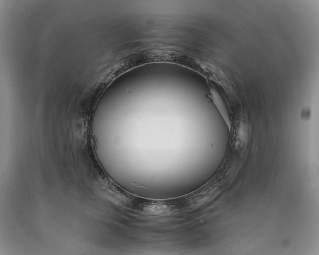 X0000090450759200707201313