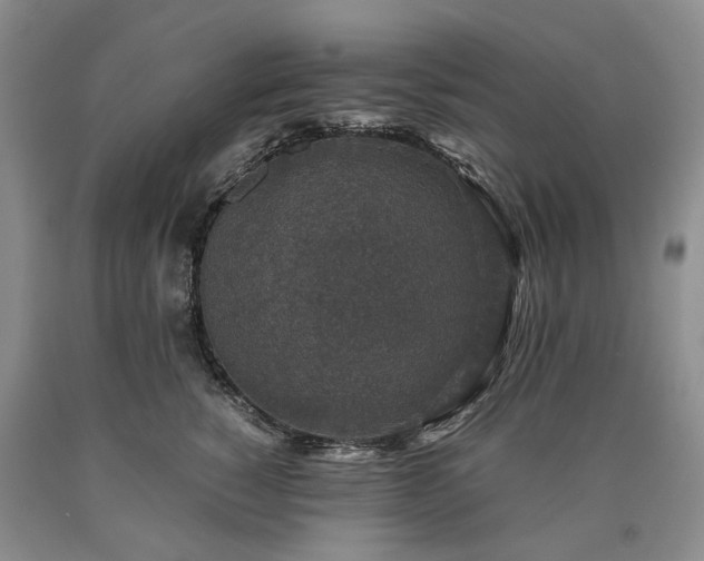 X0000090450760200707201313
