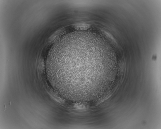 X0000090450761200707201313