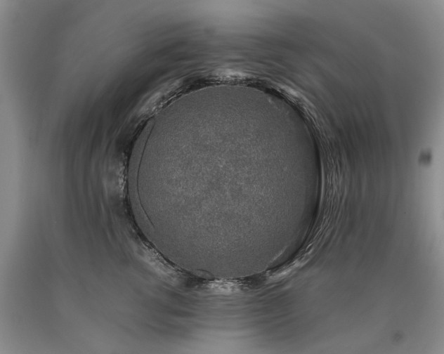 X0000090450762200707201314