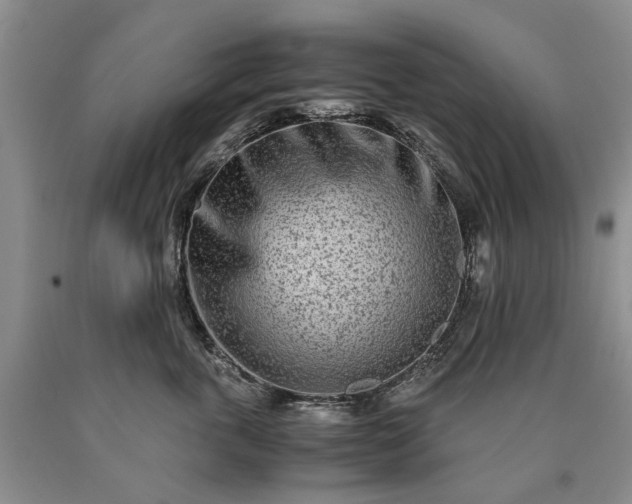 X0000090450763200707201314