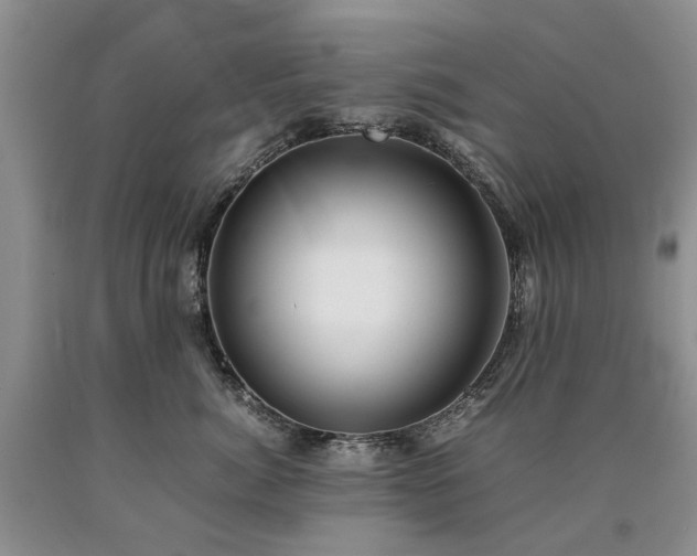 X0000090450764200707201314