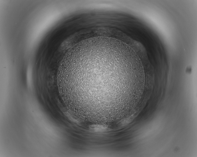 X0000090450765200707201314