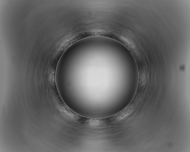 X0000090450766200707201314