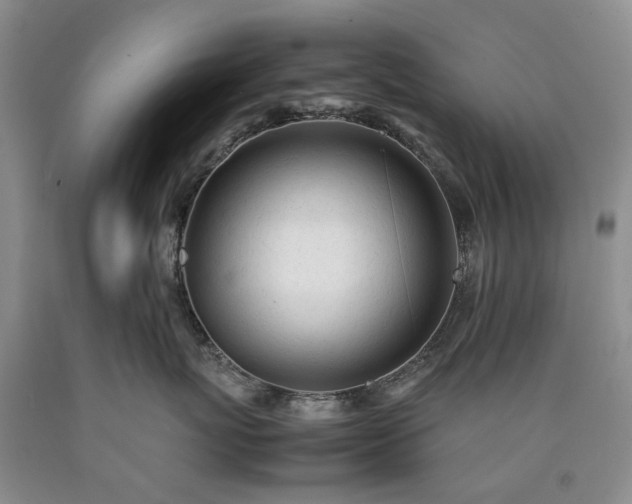 X0000090450767200707201314
