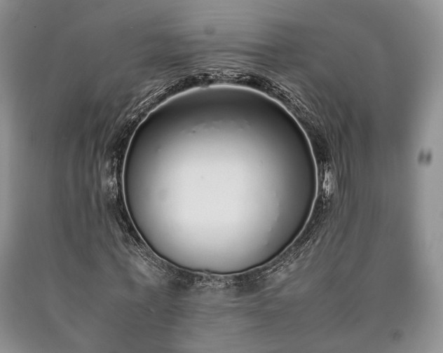 X0000090450771200707201313