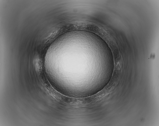 X0000090450772200707201313