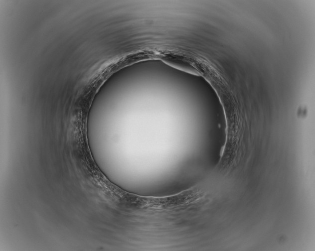 X0000090450773200707201313