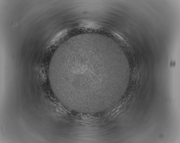X0000090450774200707201313